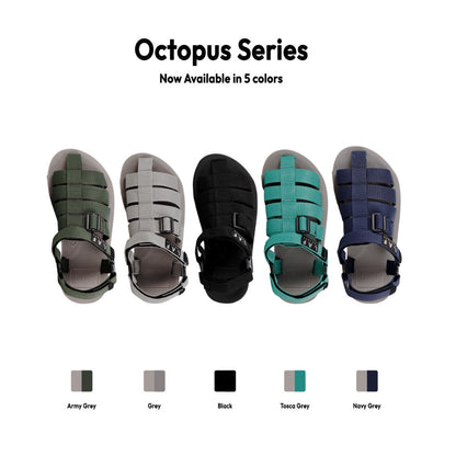 Octopus